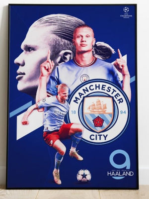 Haaland poster