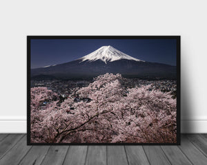 Fujiyama and Sakura
