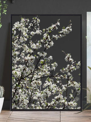 Spring branches