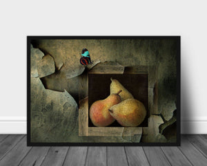 Butterfly still life