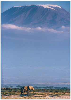 Kilimanjaro og de stille vagtposter
