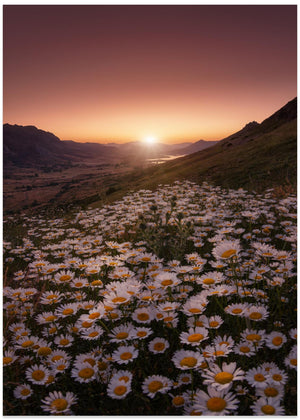 Closer to the sun
