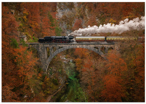 Museum train