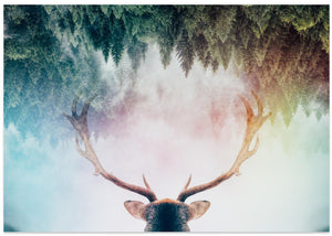 Antler