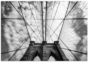 The bridge