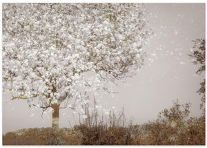 Fruit tree