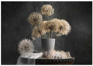 Dandelion Seed Pod