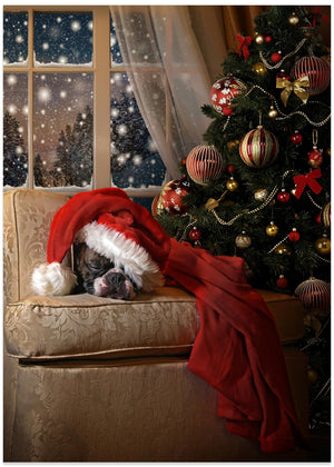 Waiting for Santa