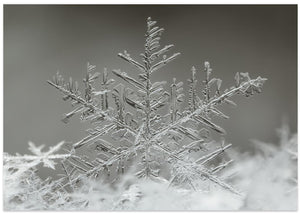 Snowflake