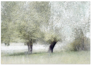 Young green