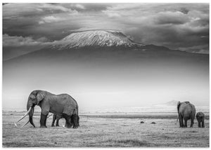 The land of giants