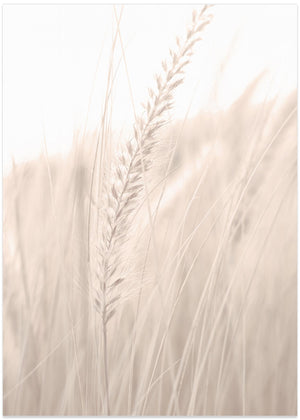 Grass_001