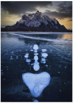 Symmetry of Icelake