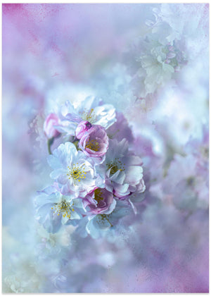 Pastel Dream Blossoms