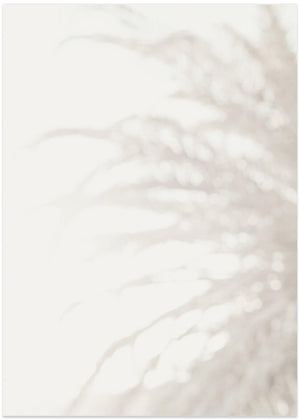 Palm_008