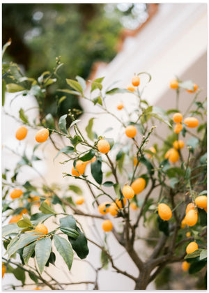 Orange Capri-bukser
