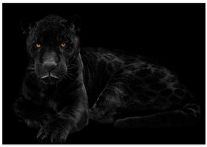 Sort panter