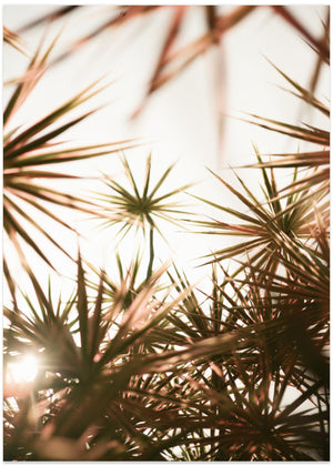 Abstract Beauty Of Spiky Plant