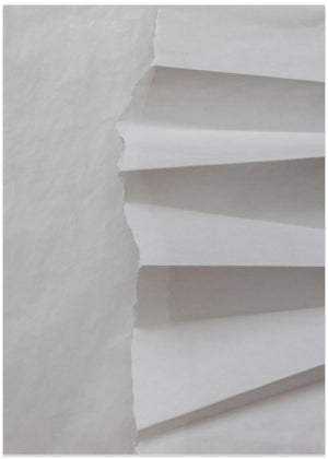 Paper Studies 12