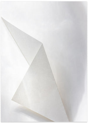 Paper Studies 18