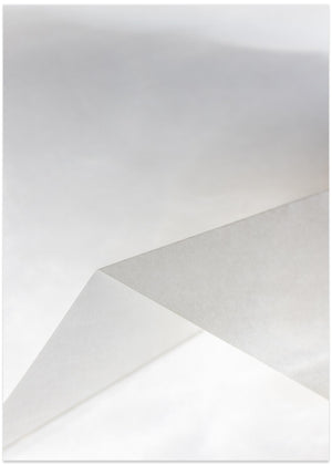 Paper Studies 19