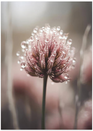 Pastel Natur Makro nr. 4