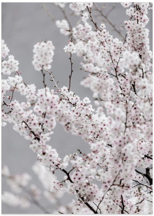 Colorful Spring 6