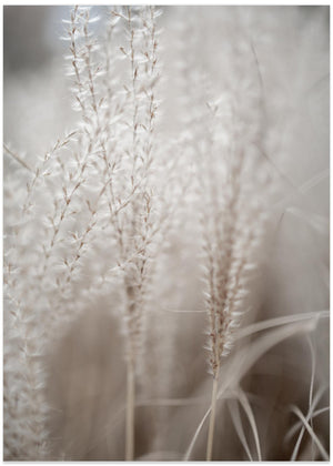Grass 18