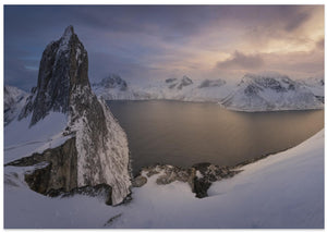 Norwegian Beauty