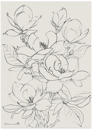Magnolia Tree