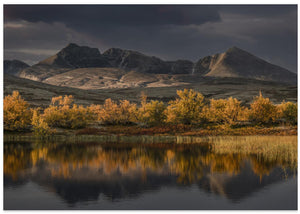 Golden autumn in Norway