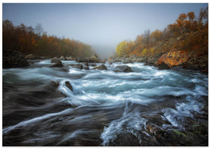 Wild River