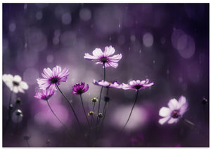 Purple Flash