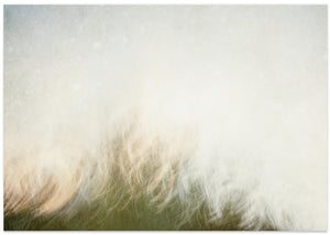 Moving landscape