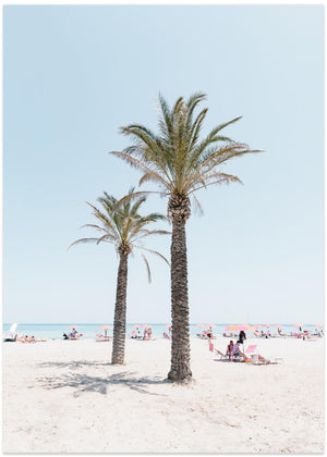Palm tree on the beach