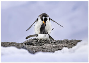 Mating Time