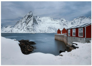 Reine om vinteren