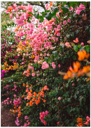 La Garden