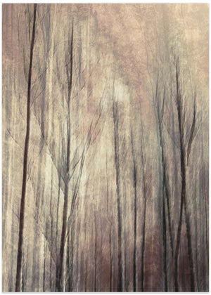 Fall forest