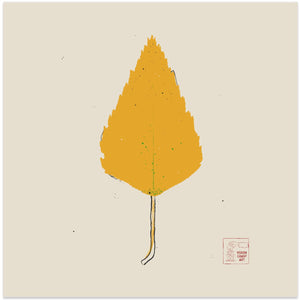 Birch
