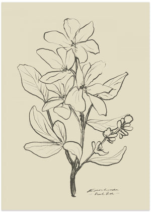 Floral 1