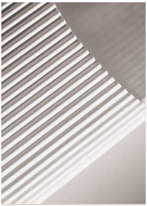 Paper Studies 7