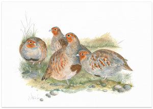 Four Partridges