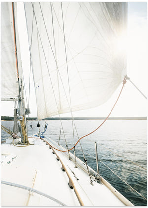 Sail Away