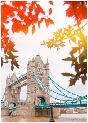 Tower Bridge View