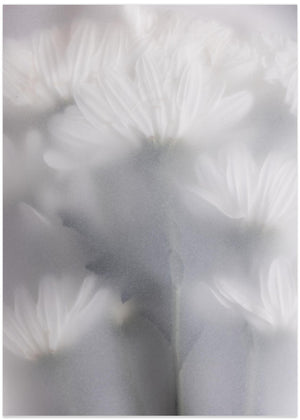 Blurred Flowers 6