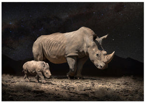 NightRhinos