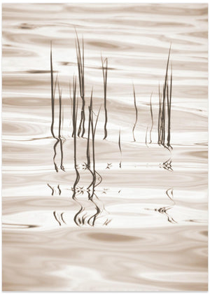 Monochrome Serenety