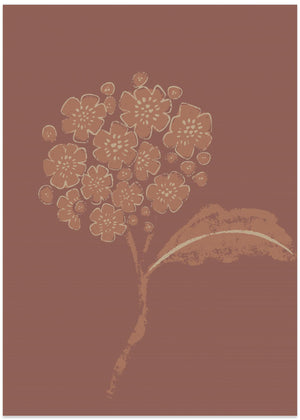 Mocha blossom