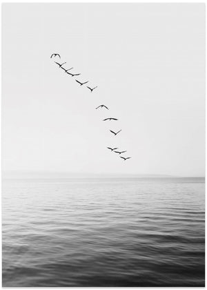 Flying Birds